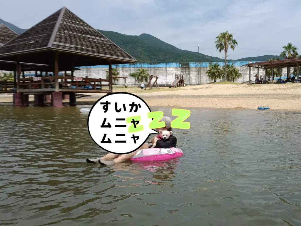 海に浮かぶママとウトウトする犬