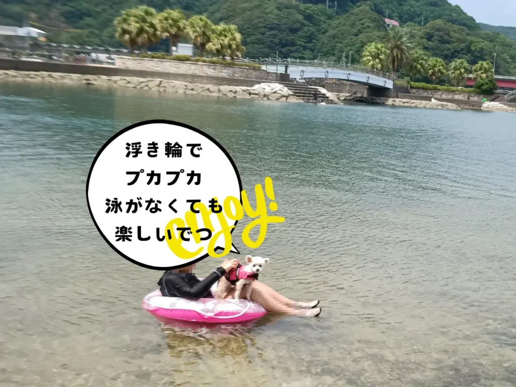 浮き輪でプカプカ浮かぶママと犬