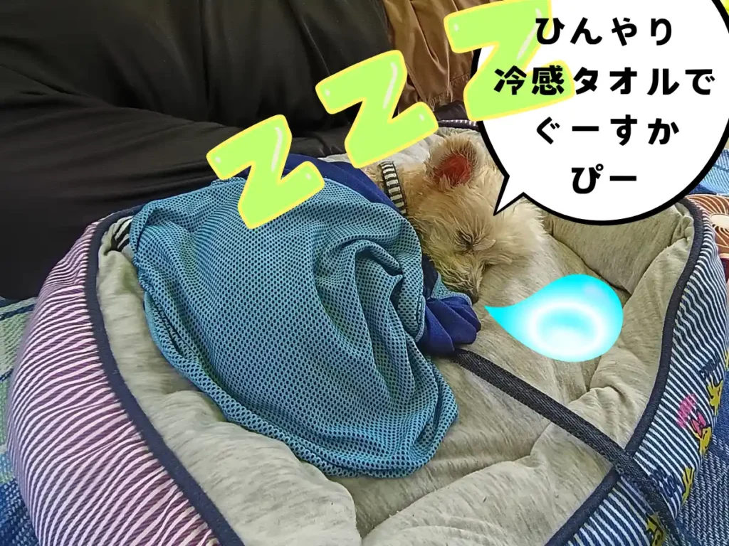 冷感タオルに巻かれて眠る犬