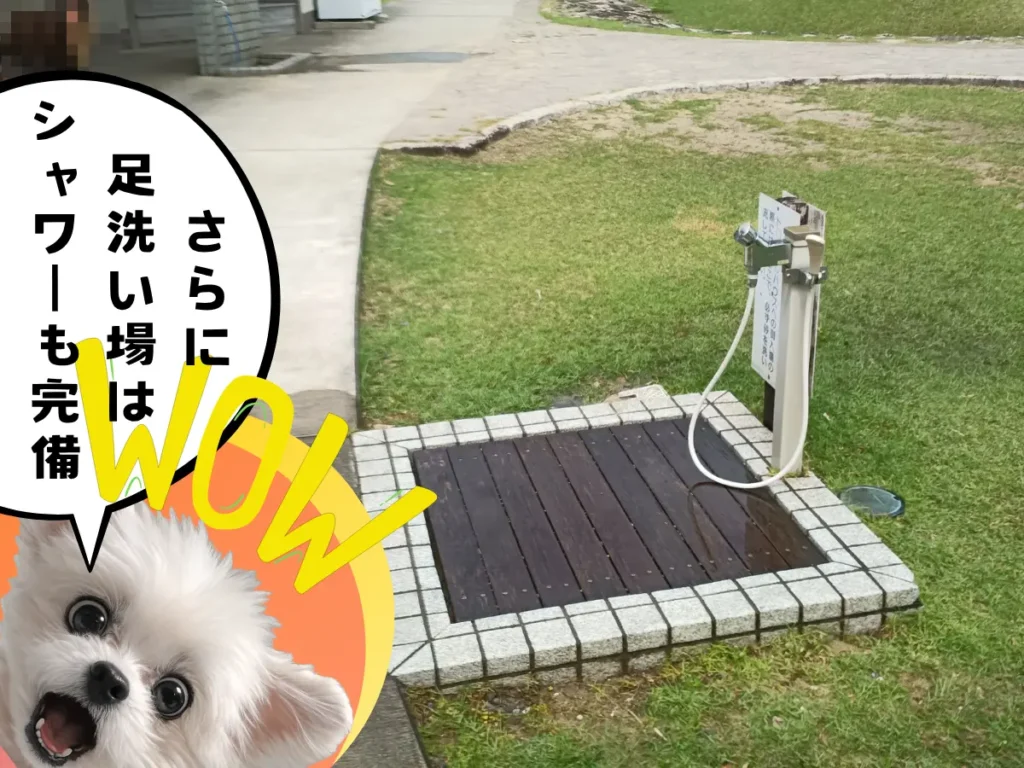 足洗い場