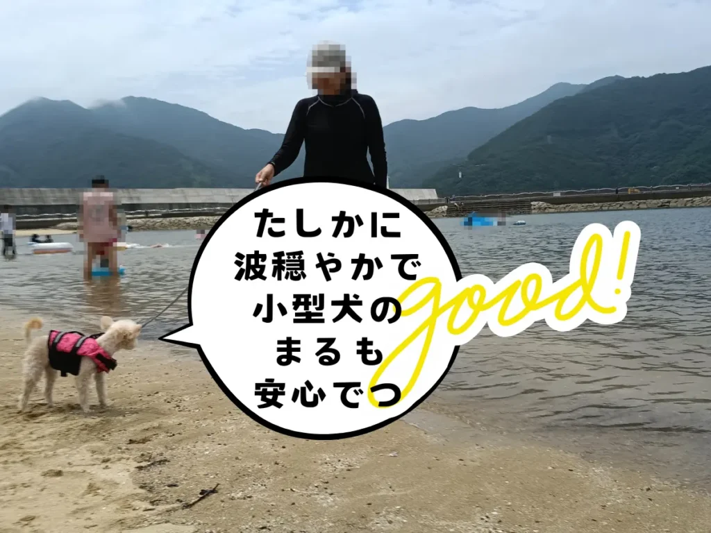錦向井ヶ浜トロピカルガーデンの波打ち際