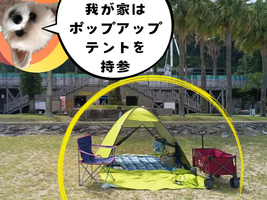 ビーチに設置したポップアップテント