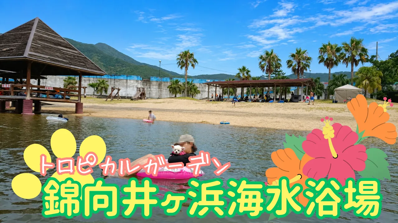 錦向井ヶ浜トロピカルガーデンで犬連れ海水浴サムネイル