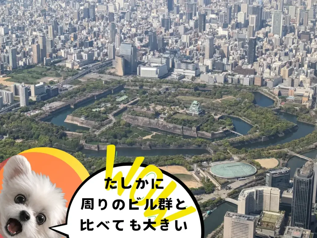 上空から見た大阪城と街並み