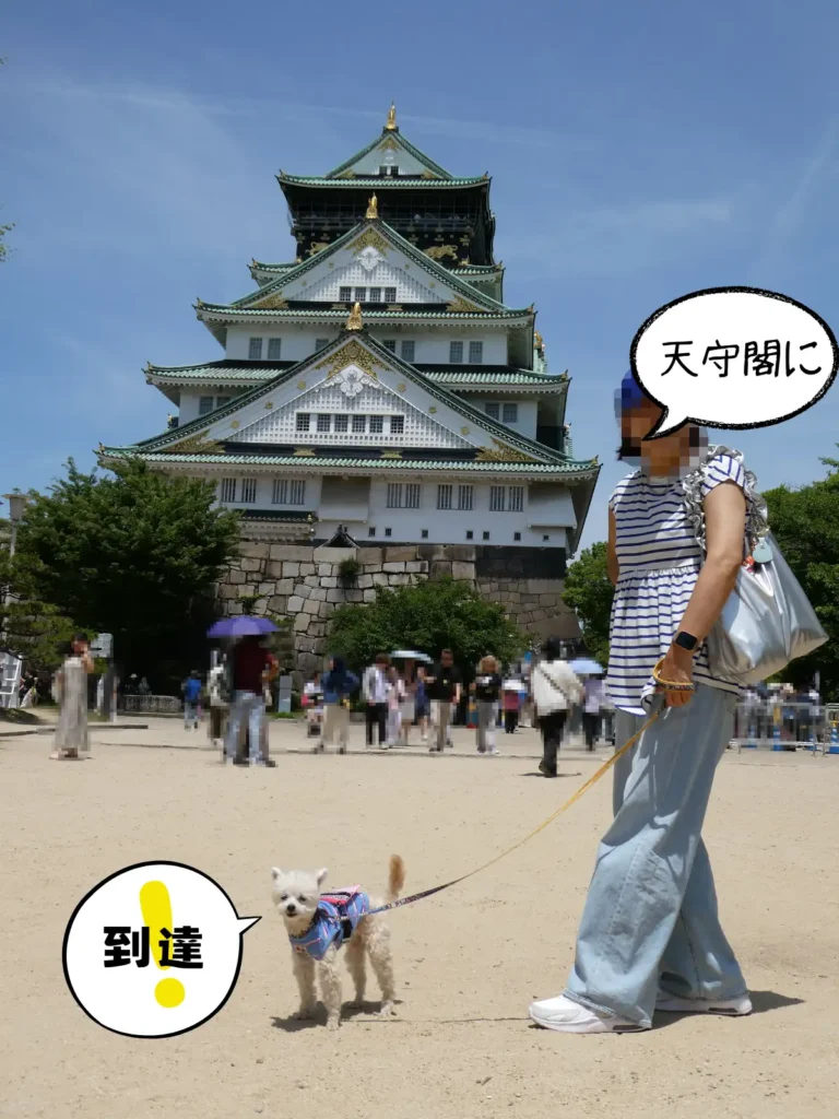 天守閣前で記念撮影