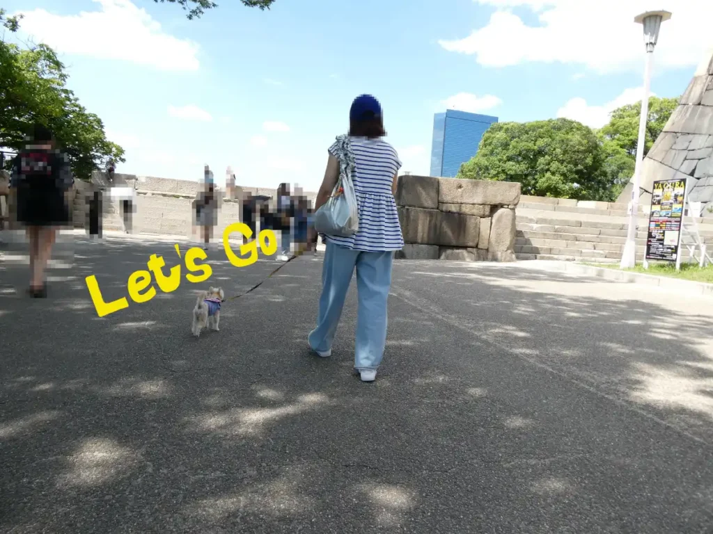 本丸を歩く犬とママ