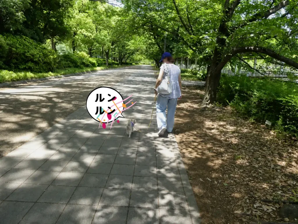 大阪城公園を歩く犬