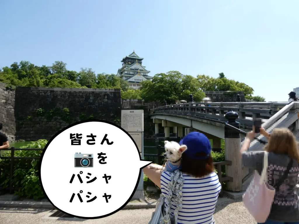 極楽橋から見る天守閣
