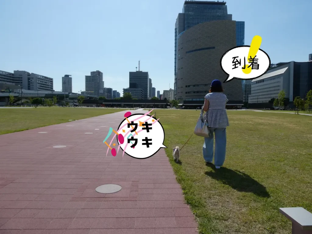 なノにわがある難波宮跡公園