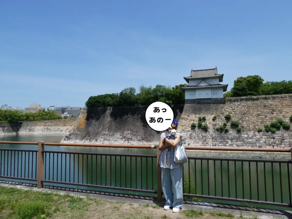 南外堀の六番櫓