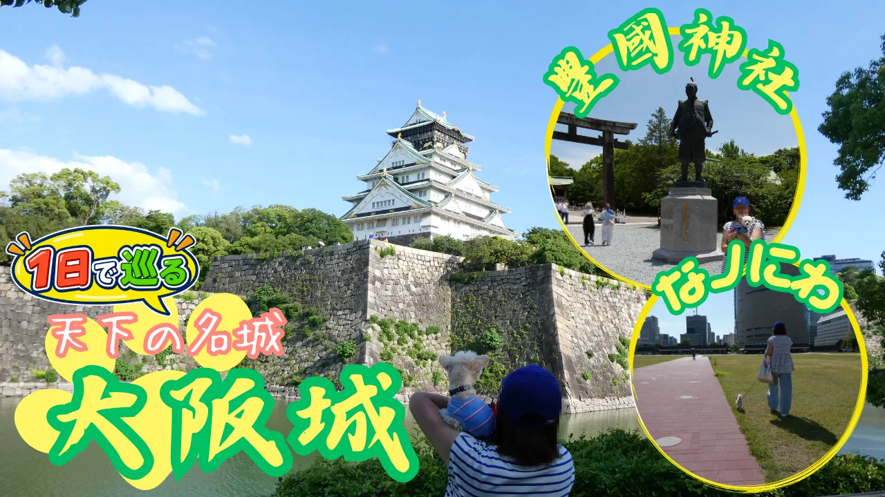 大阪城へ犬連れ旅サムネイル