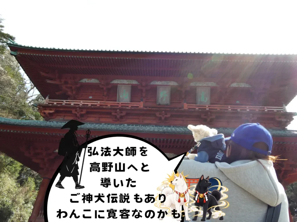 大門を見るママと犬