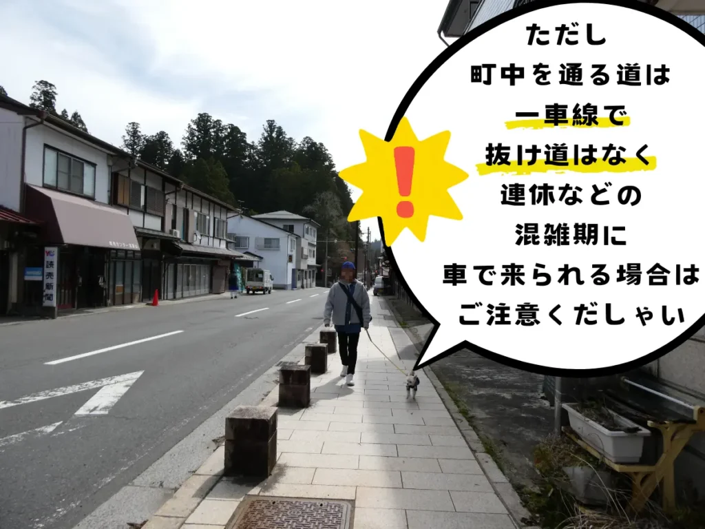 町並みの歩道を歩くママと犬