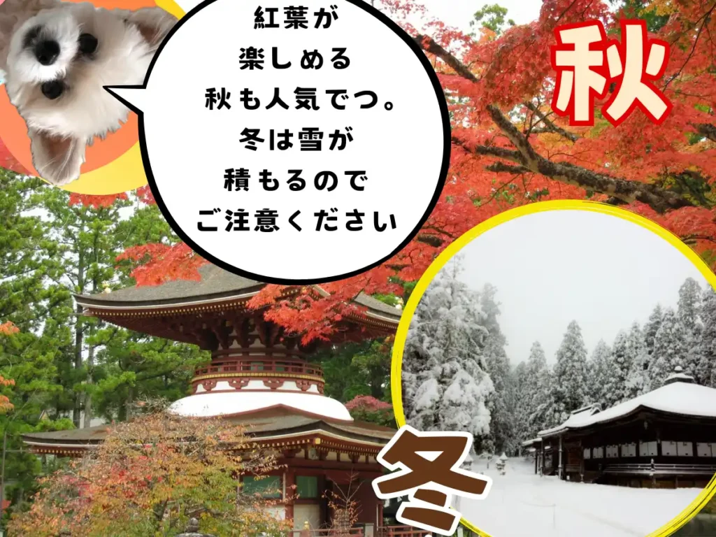 高野山の秋と冬