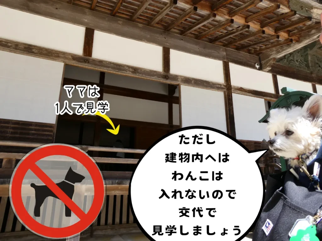 金剛峯寺を見学するママと外で待っている犬