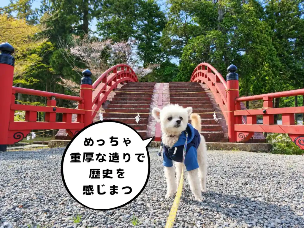 輪橋と犬