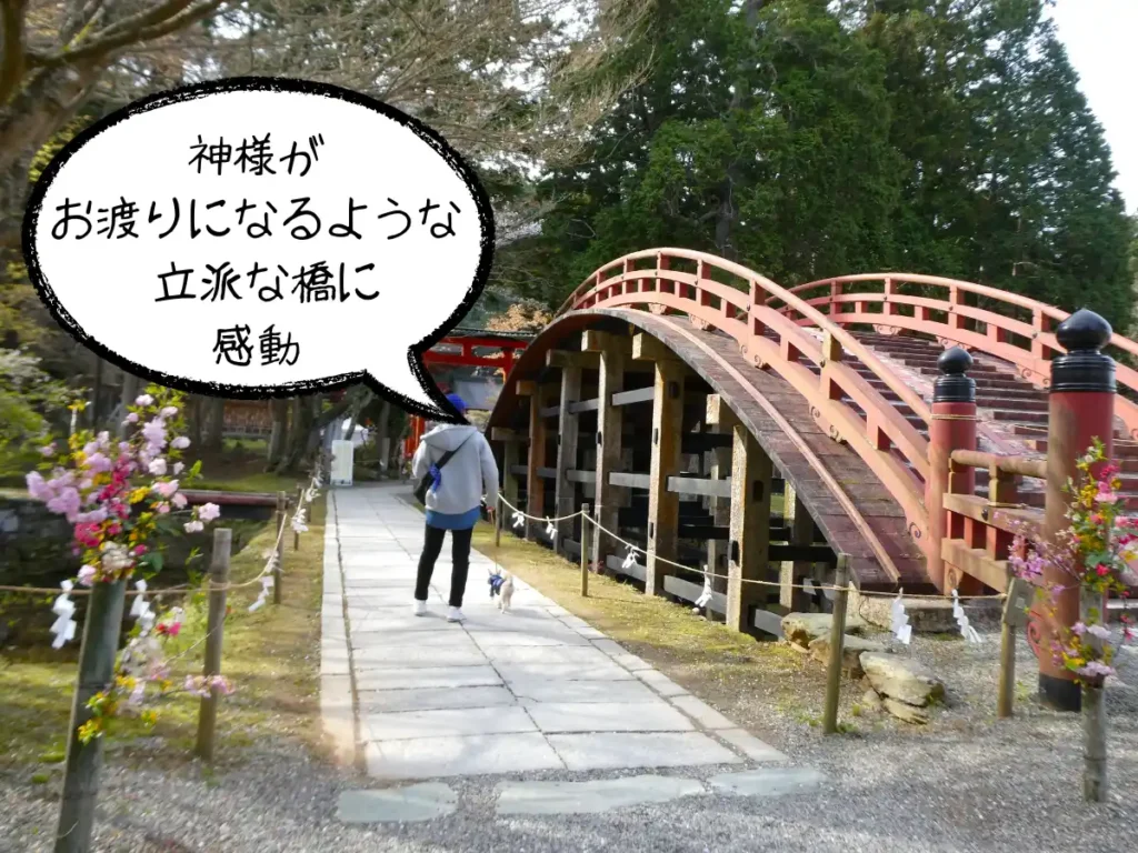 輪橋の横から進む
