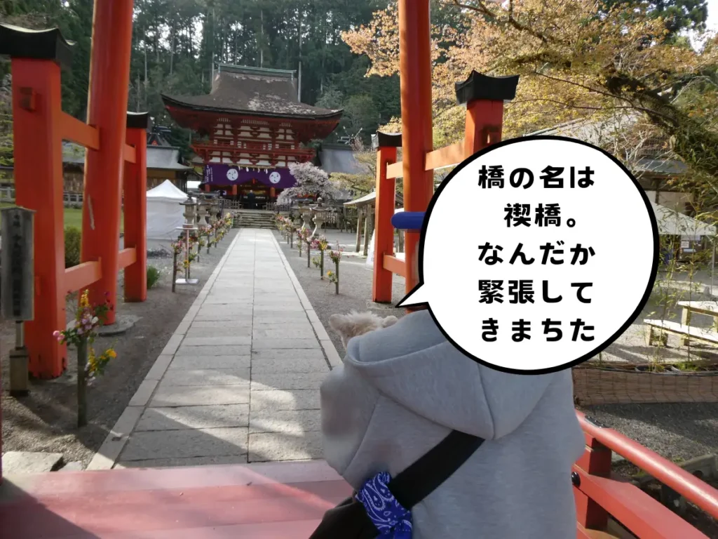 禊橋を渡る