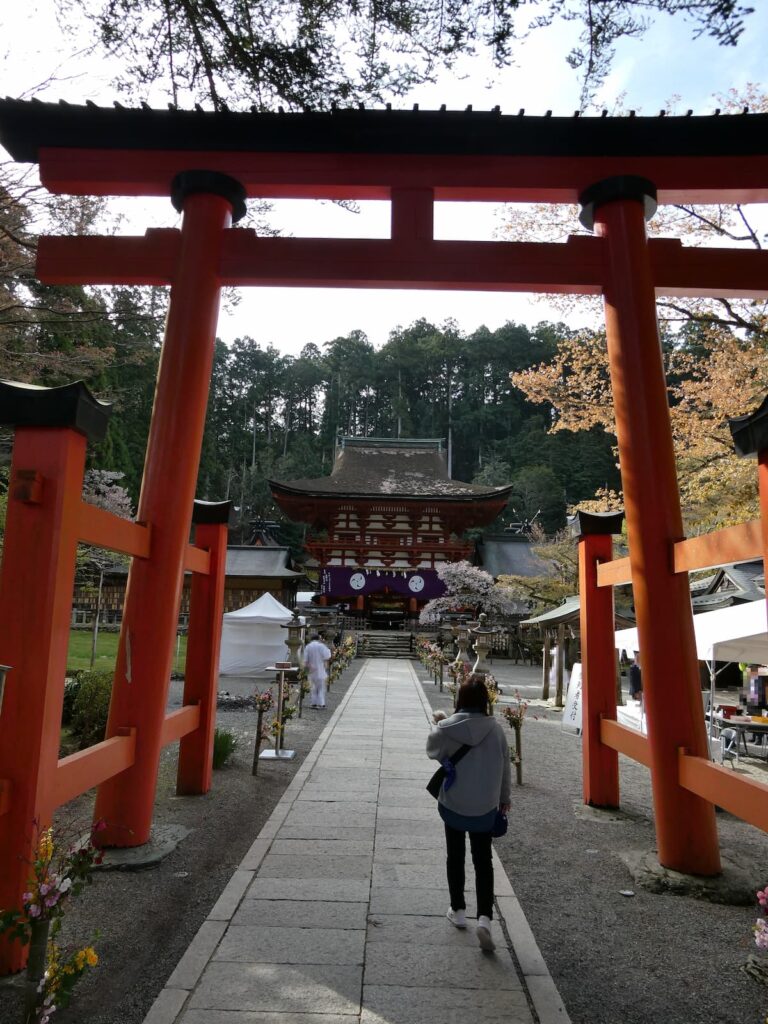 中鳥居を進む