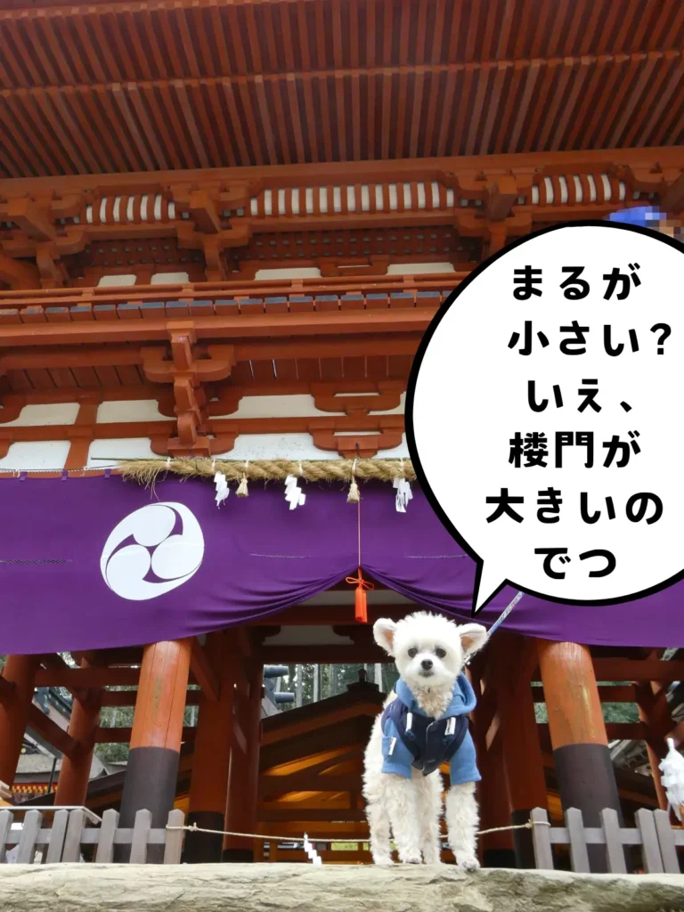 楼門と犬