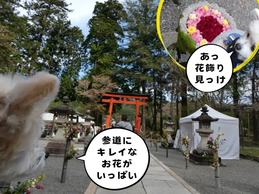 境内の花飾り