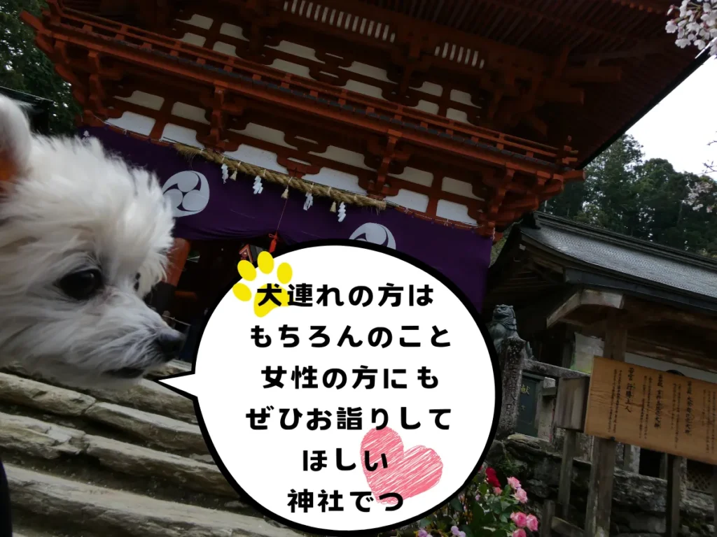 楼門の前