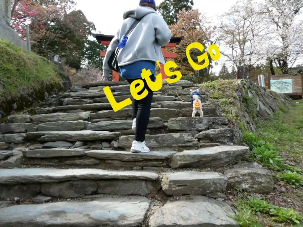 神社へ向かう階段を登る犬