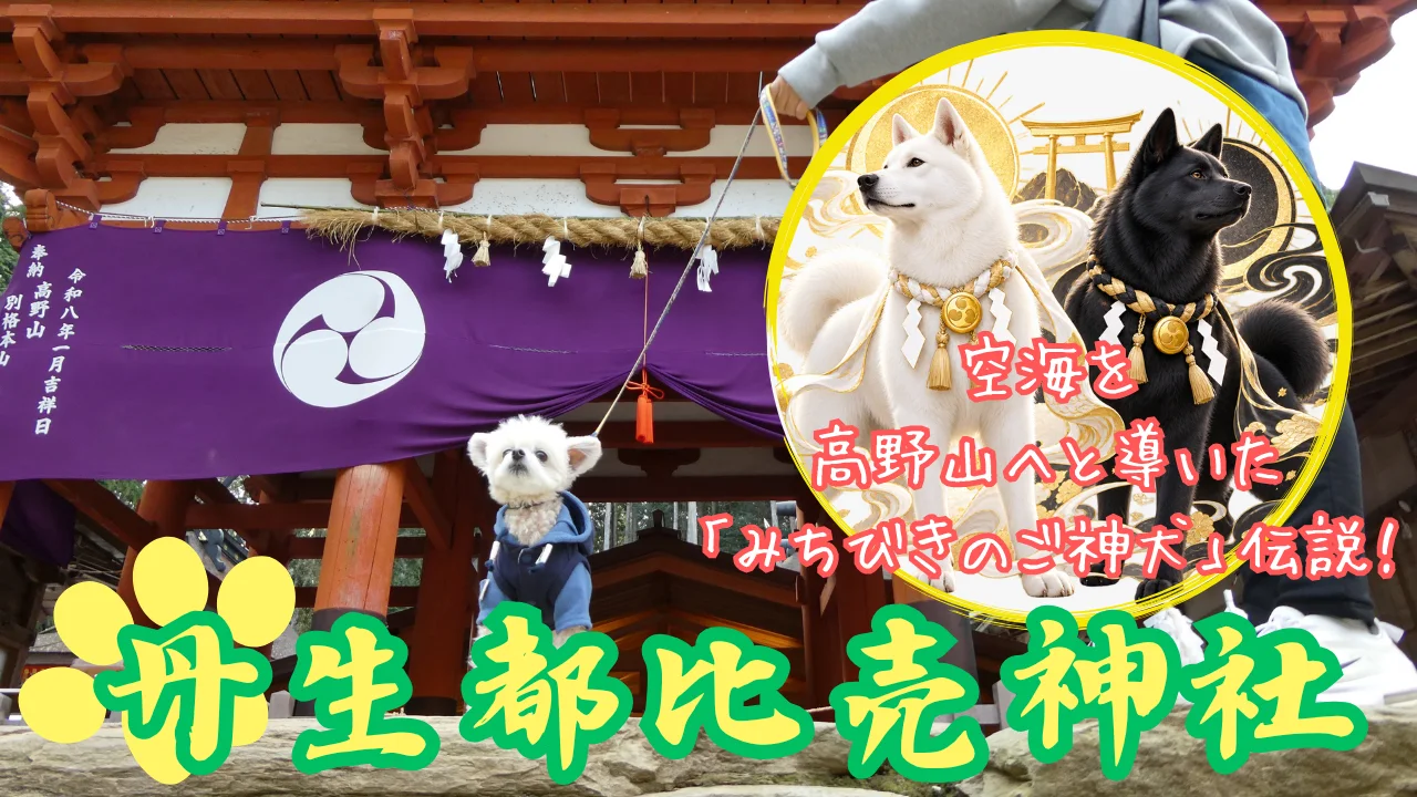 丹生都比売神社へ犬連れ参拝