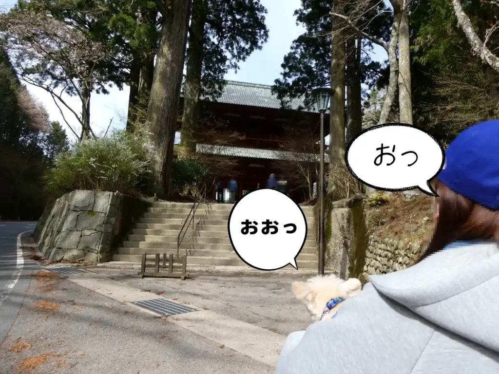大門が見えてきました