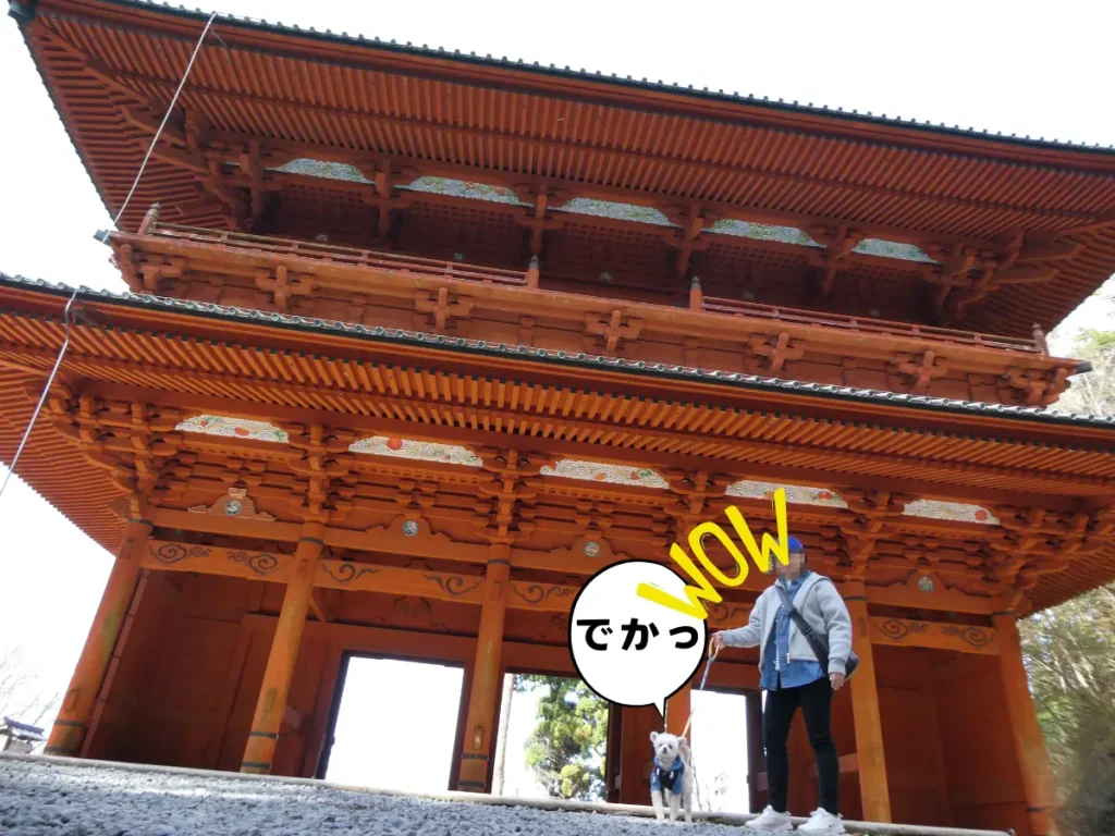 大門とママと犬