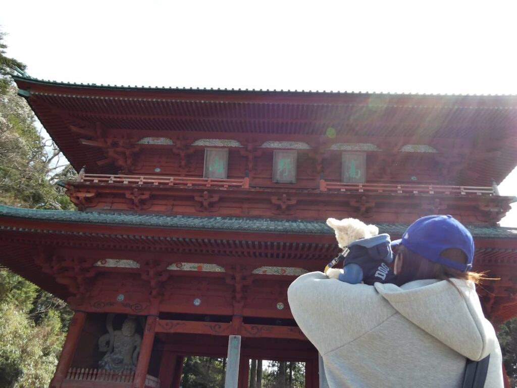 大門を見上げるママと犬