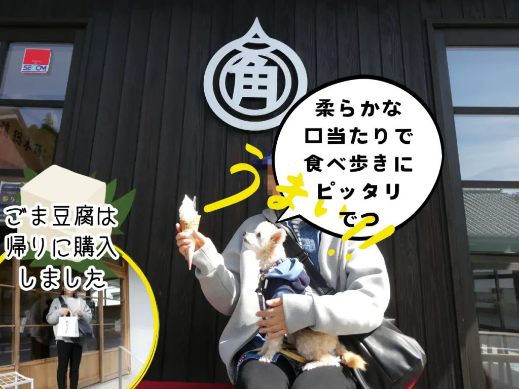 角濱ごまとうふ総本舗飲食部のベンチでソフトクリームを食べるママと犬