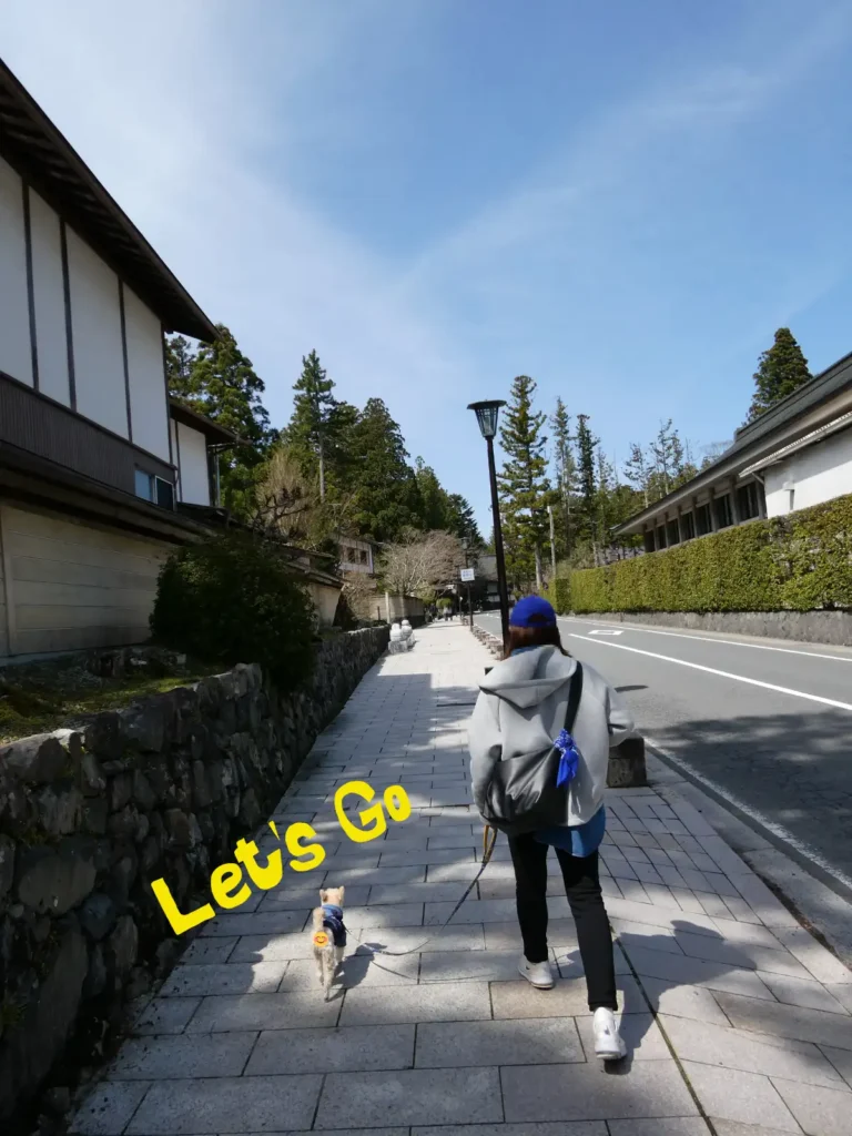 中門へ歩くママと犬
