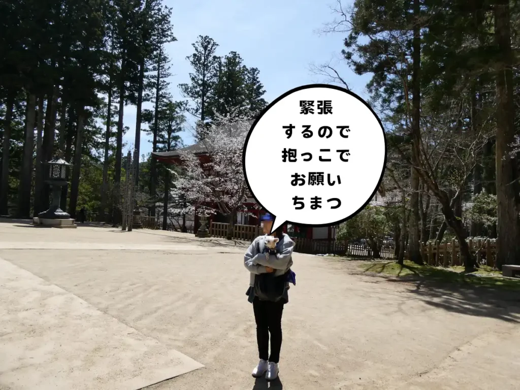 壇上伽藍の境内