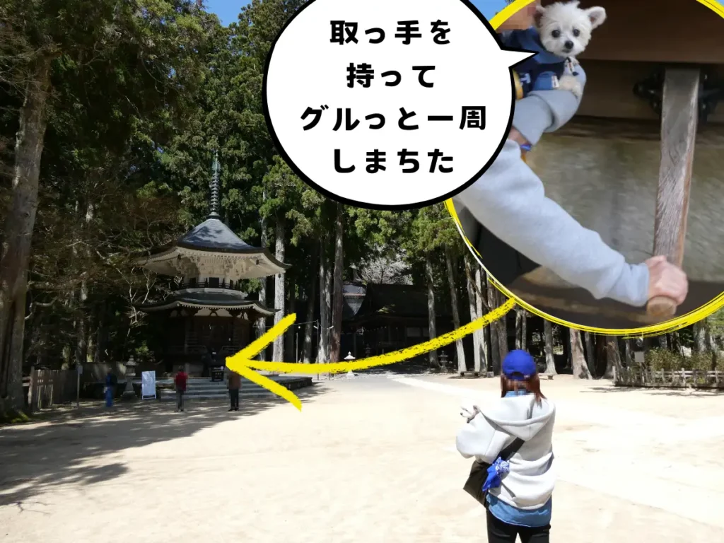 六角経蔵