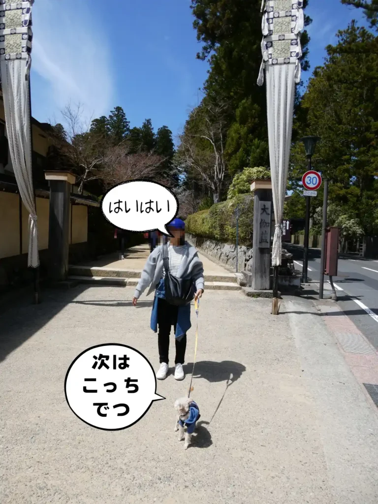 大伽藍入口から歩くママと犬