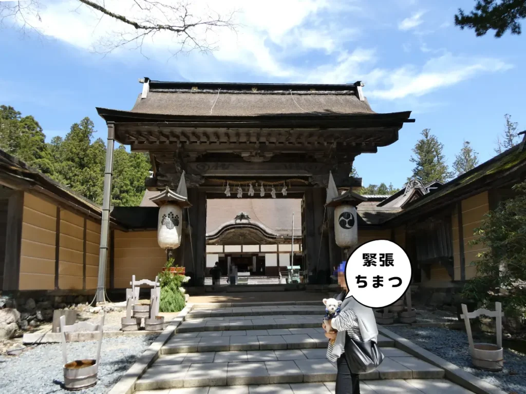 金剛峯寺本坊の正門から入るママと犬