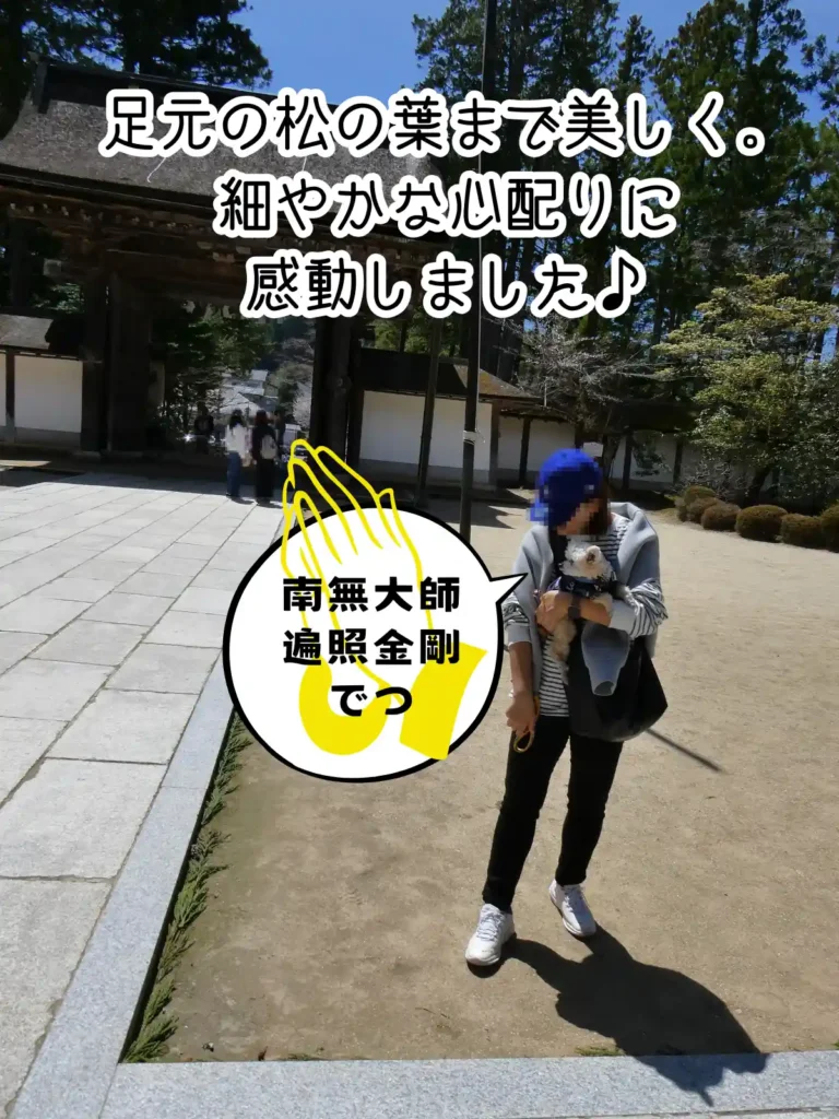 掃除が行き届いた境内の美しさ