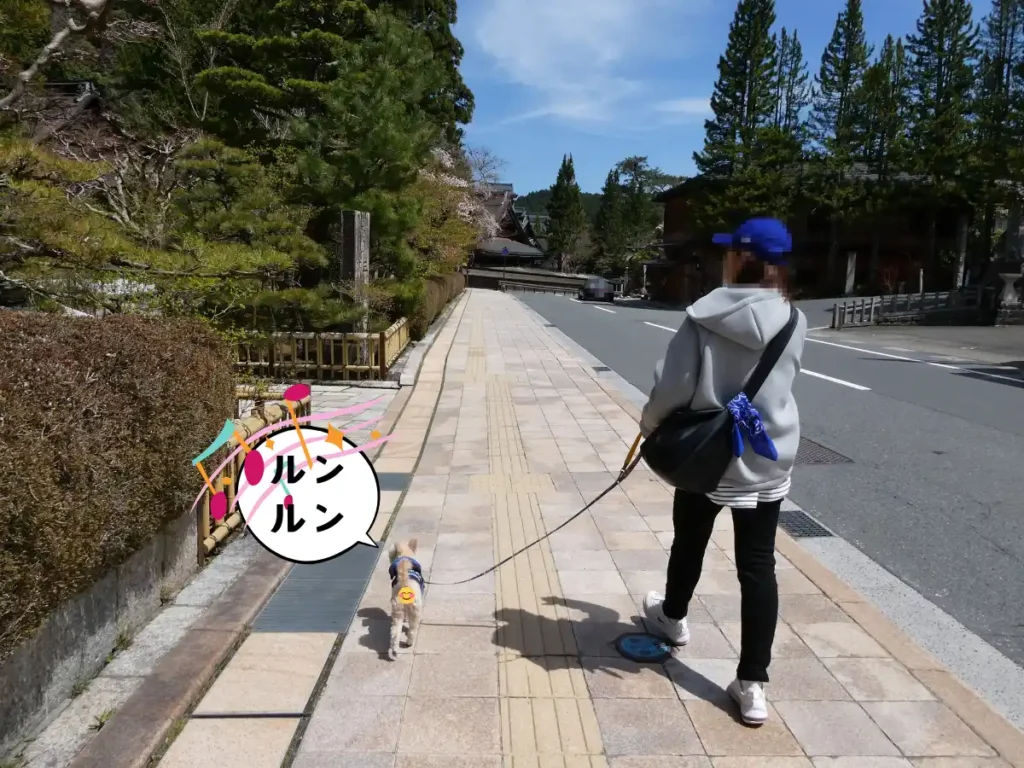 高野山の町並みを歩くママと犬