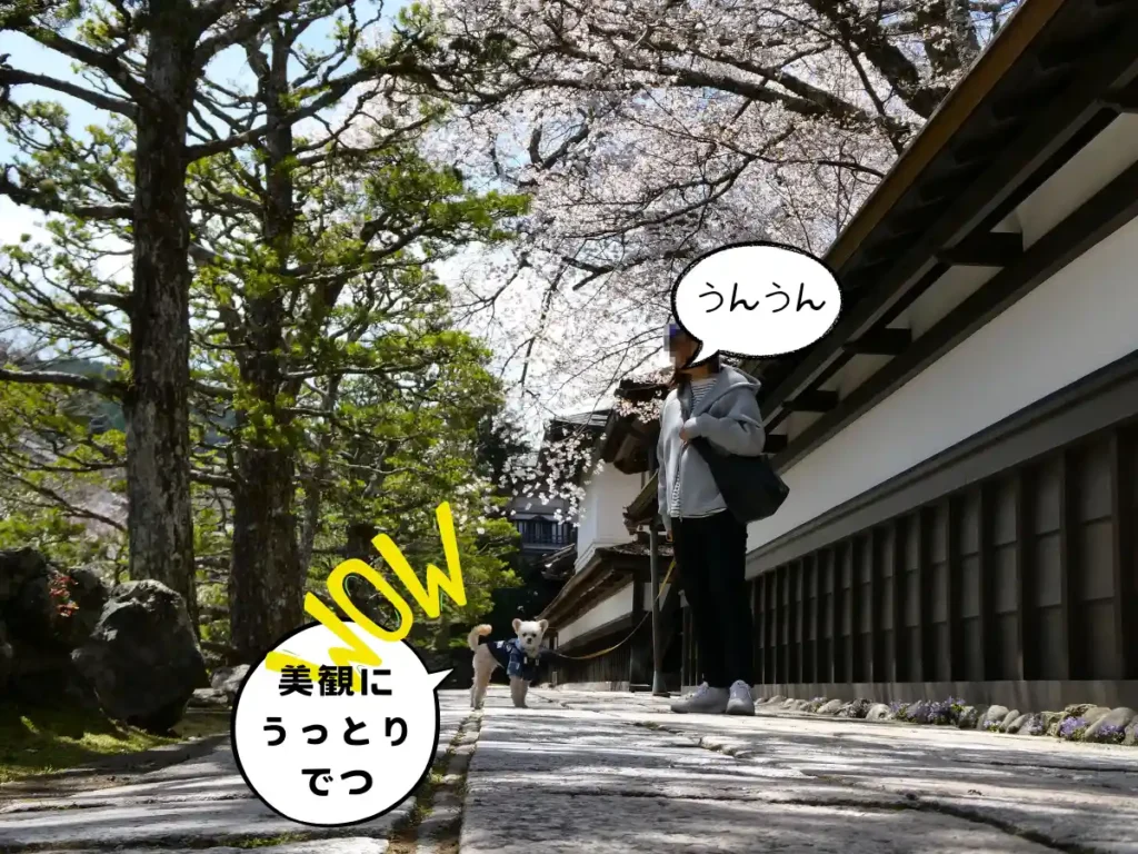 宿坊・清浄心院前の通りで記念撮影