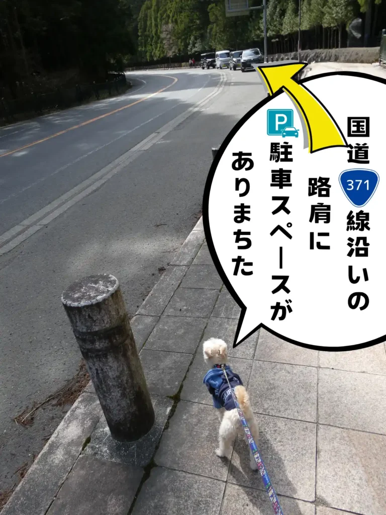 国道371号線沿いの駐車スペース