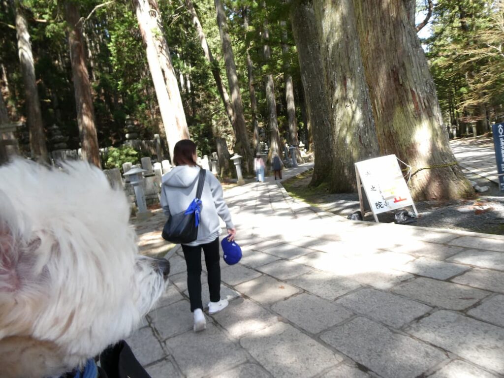 奥之院へ入るママと犬