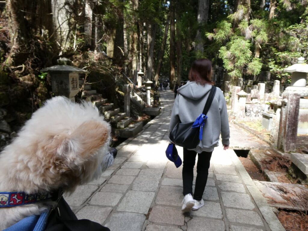 奥之院の墓所を見るママと犬