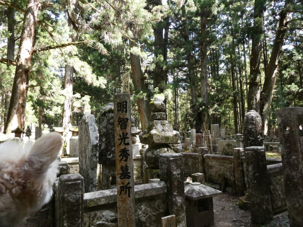 明智光秀公の墓所