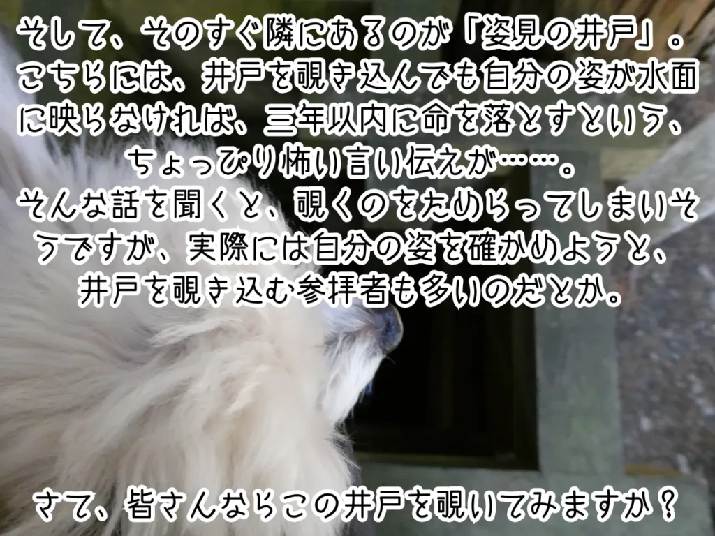 姿見の井戸