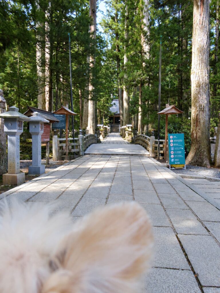 御廟橋と弘法大師御廟