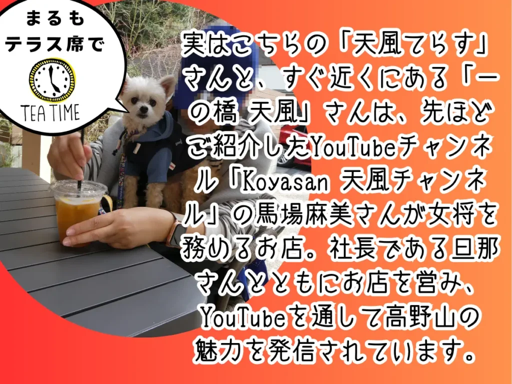 天風てらすのテラス席