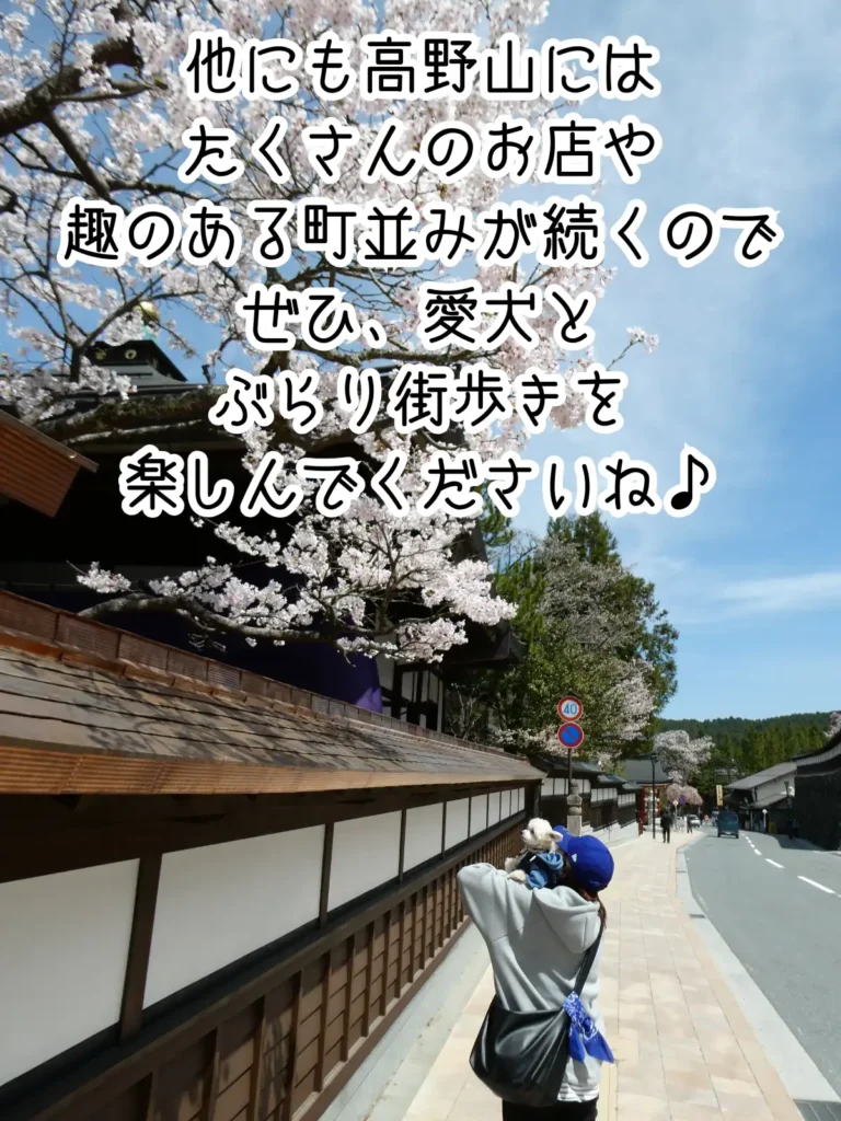高野山の町並み