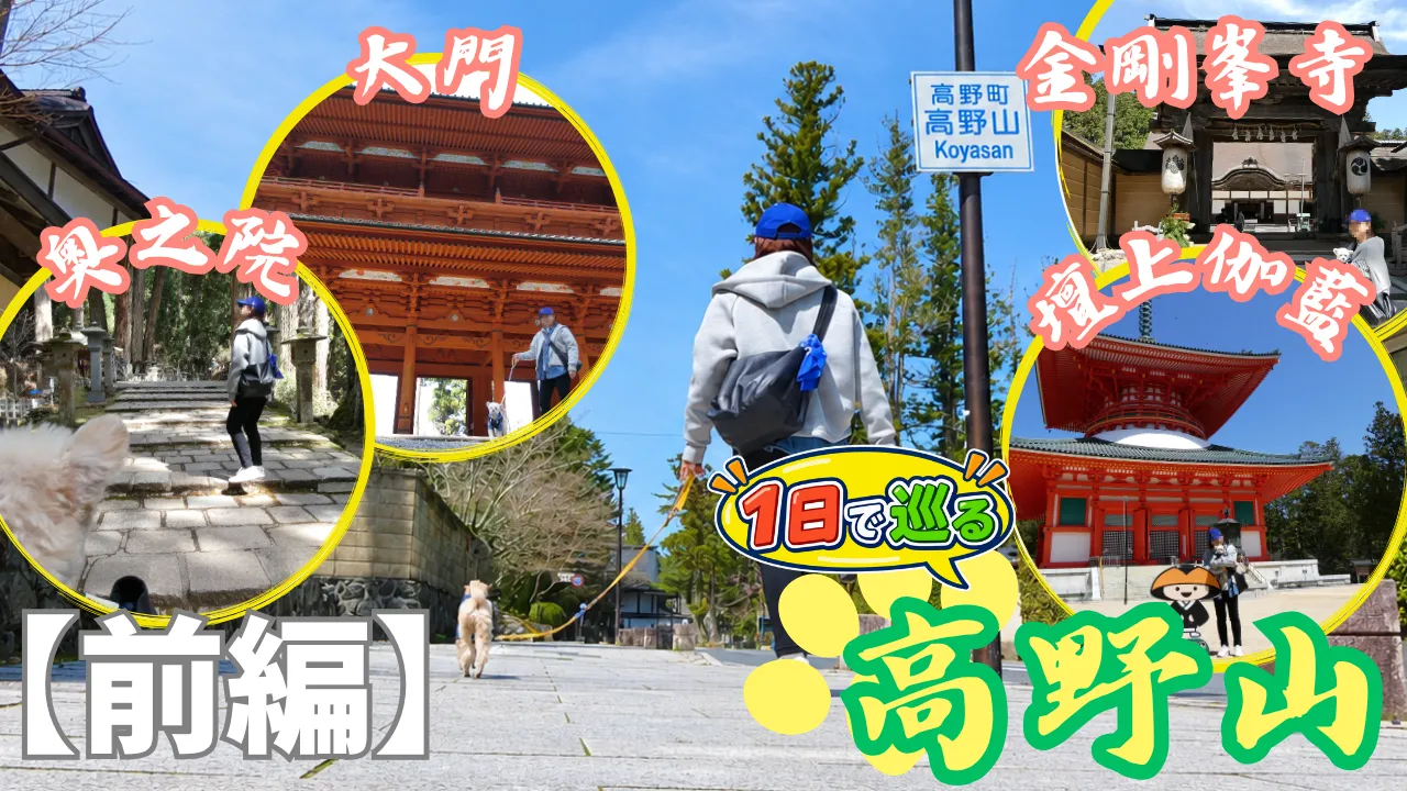 高野山へ犬連れ旅【前編】サムネイル