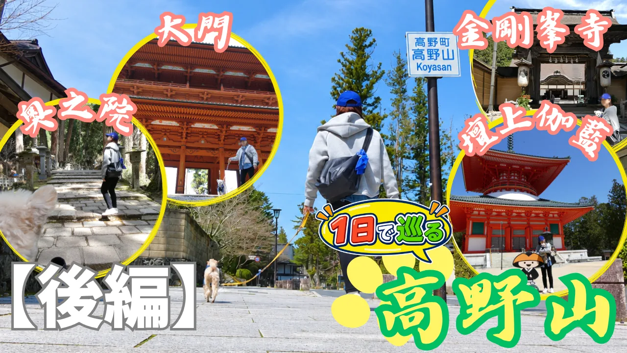 高野山へ犬連れ旅【後編】サムネイル